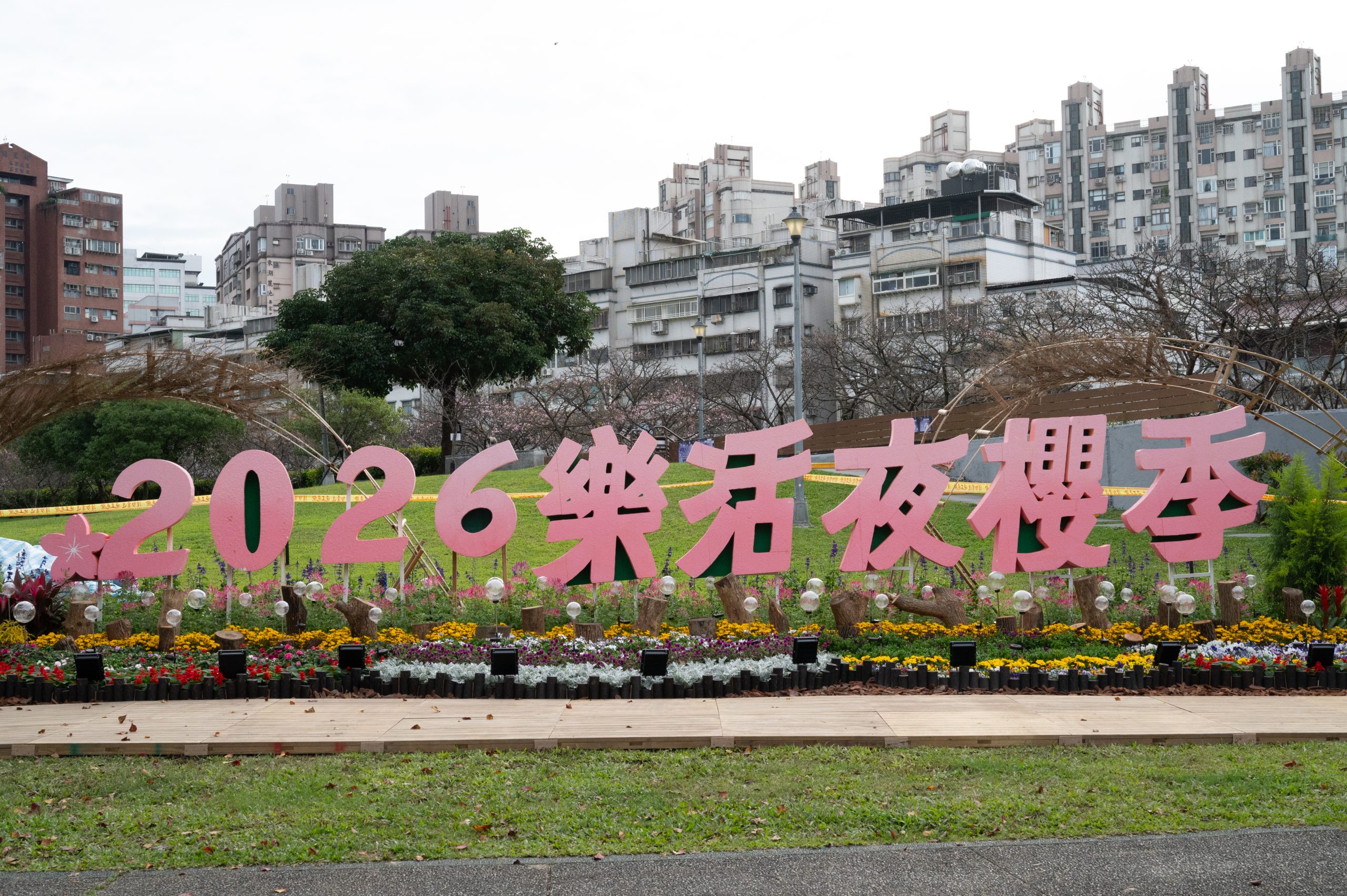 2026櫻花季預備備