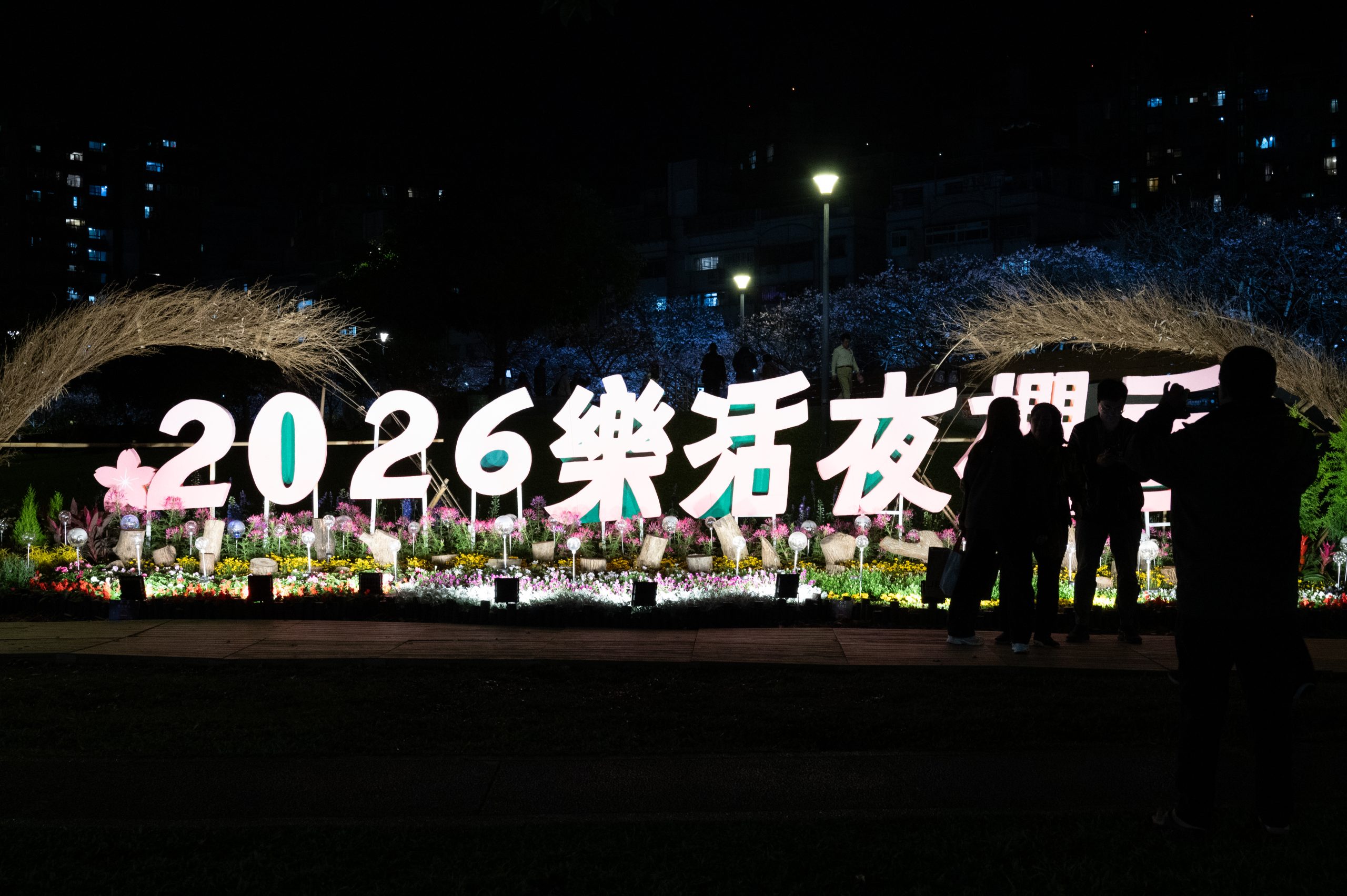 2026夜櫻